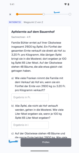 Eine Mathematikaufgabe mit drei Teilaufgaben und Eingabefeldern